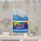Sc Johnson S C Johnson J30 12207 1-Gallon Commercial Line Glass Cleaner - Pack 4 19800122072 - alternate 2