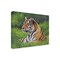 Trademark Fine Art Outdoor Canvas Art David Stribbling 'tiger grass' Wall Art for Patios, or Gardens GRL00442-OC3547WR - alternate 1