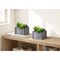 Monarch Specialties Artificial Plant, 8-in. Tall, Succulent, Table, Grey Wooden Pots, Contemporary, Modern, 2PK I 9370 - alternate 3
