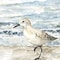 Homeroots Set Of Two Beach Sandpipers Distressed White Framed Wall Art, 2PK 653065 - alternate 2