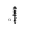 Fcs Struts Suspension Strut And Coil Spring Assembly 1337128R - alternate 2