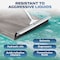 Dsv Standard Garage Floor Squeegee 18 in, Neoprene Blade Asphalt Squeegee, Taper Pole Connection 87318-Z - alternate 4