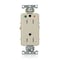 Leviton DPl HG/IG Rec 15A 125V TR Self-Gr Ivr DT820-IGI - alternate 1