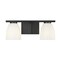 Z-Lite Naya 2-Light Vanity, 16 in W, Matte Black 7518-2V-MB - alternate 5