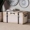 Baxton Studio Nevio Vintage Weathered White Canvas Storage Trunk 253-14073-ZORO - alternate 2