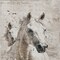 Homeroots 9' X 12' Ivory And Gray Horse Washable Indoor Outdoor Area Rug 618689 - alternate 2