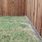 Dig Defence XL Animal Barrier, 5PK 805797 - alternate 3