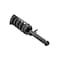 Fcs Struts Suspension Strut And Coil Spring Assembly 3345879R - alternate 3