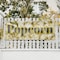 Signmission Popcorn, 48 Inch x 120 Inch, Vinyl Banner B-120-30814 - alternate 2