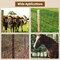 Wrightmaster 60 in. x 164 ft. 14 Gauge Reinforced Hot-Dip Galvanized Poultry Fencing, Expertly Woven ZOR-CP0018 - alternate 2
