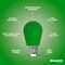 Bulbrite 25W Equivalent Ceramic Green Color S14 Weatherproof Outdoor E26 Medium Base LED Light Bulb, 10PK 862321 - alternate 2