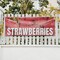 Signmission Fresh Strawberries, 18 Inch x 48 Inch, Vinyl Banner B-30659 - alternate 2