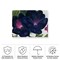Trademark Fine Art Outdoor Canvas Art - Georgia O'Keefe 'Black and Purple Petunias' Wall Art for Patios, or Gardens ALI10053-OC2432WR - alternate 4