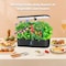 Wrightmaster Smart Indoor ABS Garden Hydroponics Growing System with 12 Pods, 3 Grow Modes, Height Adjustable ZR-black-ZWJ - alternate 3