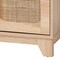 Baxton Studio Elsbeth Mid-Century Modern Light Brown Finished Wood and Natural Rattan 2-Door TV Stand 226-12952-ZORO - alternate 2