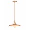 Z-Lite Camden Rubbed Brass 1 Light Pendant 2308P14-RB - alternate 1