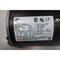Century AC MOTOR 56 2HP 1725RPM 5/8IN 460V-AC 3PH H181LES - alternate 2