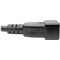 Eaton Tripp Lite Series Power Extension Cord, C19 to C20 - Heavy-Duty, 20A, 250V, 12 AWG, 6 ft. 1.83 P036-006 - alternate 2