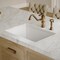 Whitehaus Collection Undermount/Drop-in Fireclay Kitchen Sinks, Stainless Steel Grid Included WHUF3119 - alternate 2