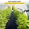 Vevor 6x300 ft Heavy Duty PP Woven Weed Barrier Landscape Ground Cover 2.4Oz 1.83*91.4-70 - alternate 3