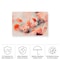 Trademark Fine Art Outdoor Canvas Art - Treechild 'Wild Coral Flowers' Wall Art for Patios, or Gardens 1X16794-OC1219WR - alternate 2