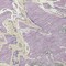 Homeroots 8' Lavender And Ivory Round Abstract Washable Indoor Outdoor Area Rug 600104 - alternate 4