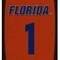 Coverking UNIVERSAL ULTISUEDE SEAT COVER DESIGNER 1PC, UNIVERSITY OF FLORIDA ORANGE JERSEY, ELA091 USCSELA091 - alternate 2