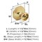 Amerock Torrance 1-3/16 inch (30mm) Length Champagne Bronze Cabinet Knob, 10PK 10VMP37335CZ - alternate 2