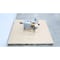 Ebara CENTRIFUGAL PUMP POWER END 13IN 150X100 IFWM3215X - alternate 2