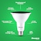 Bulbrite 90-W Equivalent, Green Color PAR38 Weatherproof Outdoor E26 Medium Base Flood LED Light Bulb COLOR 861909 - alternate 2