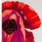 Homeroots Red and White Six Piece Square Floral Bone China Service For Six Dinner Plate Set 483515 - alternate 3