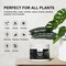 Simple Deluxe Flourish IBA Clone Rooting Hormone Gel - 2nd Gen Flourish Strong Cloning Gel for Plant Cuttings for GLNUTRCLONE - alternate 2