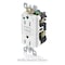 Leviton LEVITON, AGTR2-HGG AGTR1-HGR - alternate 2