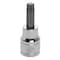 Performance Tool 3/8 In Dr. Star Bit Socket T40, W38840 W38840 - alternate 1