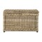 Happimess Jacob 30.7in Hand-Woven Wicker Storage Trunk, Natural HPM9003B - alternate 2