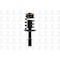 Fcs Struts Suspension Strut And Coil Spring Assembly 1333495 - alternate 1
