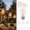 Euri Lighting S14 LED Filament Bulb, 2W, 180 lm, 25W Eq., 2700K, E26, Wet Rated, UL ES14-2W1120 - alternate 2