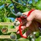 Kings County Tools Small Bypass Pruning Shears for Gardening 6 in Heavy Duty Garden Shears Spring-Loaded GW11G12-15 - alternate 2