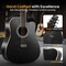 Pyle Steel String Acoustic Guitar Kit, 41 in Full Size Cutaway with Ashtree Top, Open Pore Finish PGA480BK - alternate 2
