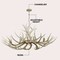 Jonathan Y Eldora 49" 10-Light Rustic Farmhouse Adjustable Resin Antler LED Chandelier, Beige JYL6320B - alternate 4