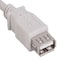 Sanoxy 1ft USB 2.0 A Male to A Female Extension Cable, White SNX-CBL-LDR-U2101-8201 - alternate 1
