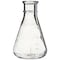 Nalgene Flasks, Colorless, PK12 4103-0250 - alternate 2