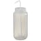 Nalgene Wash Bottle, Plastic, Colorless, PK12 2407-1000 - alternate 1