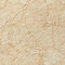 Homeroots 8' X 10' Gold And Beige Floral Washable Indoor Outdoor Area Rug 594626 - alternate 4