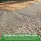Farm Plastic Supply Black Retaining Walls, Geogrid, Geocell, Geogrid Retaining Walls, 4FT x 50FT Z-Geogrid-4002 - alternate 3