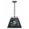 Holland Bar Stool South Dakota State University Pendant Box Light BxLM1 - alternate 1
