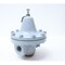 Colton Industries PRESSURE REDUCING REGULATOR VALVE 1IN NPT CRV-200CI - alternate 3