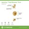 Symmons Identity HydroMersion Single Handle Tub and Shower Faucet Trim Kit  - 1.5 GPM (Valve Not Included) 6792BBZ15TRM - alternate 2