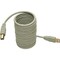 Tripp Lite USB 2.0 Hi-Speed A/B Cable M/M 28/24 AWG 480 Mbps Beige 10FT 10ft U022-010-BE - alternate 2