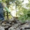 Ames Dandelion Weeder, Forged Steel, Hardwood Handle 2942100 - alternate 3